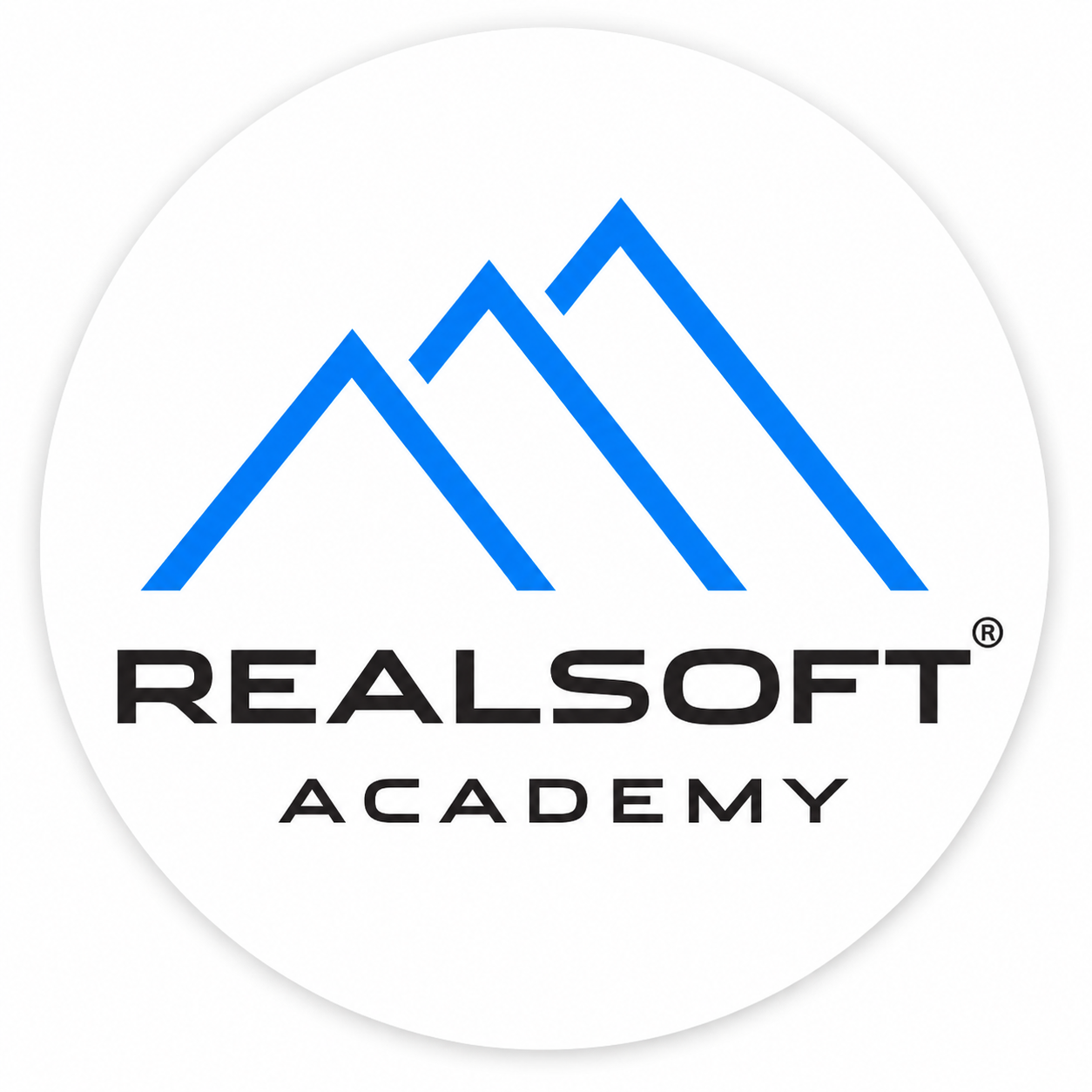 REALSOFT ACADEMY